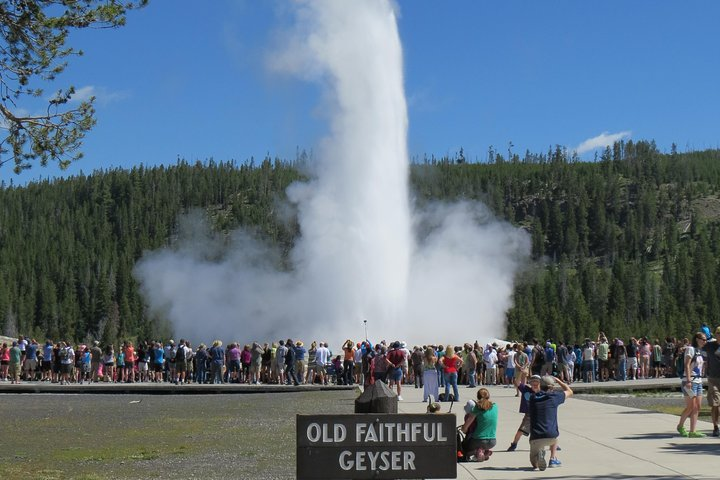 Yellowstone National Park - PRIVATE Full-Day Lower Loop Tour from Jackson Hole - Photo 1 of 25